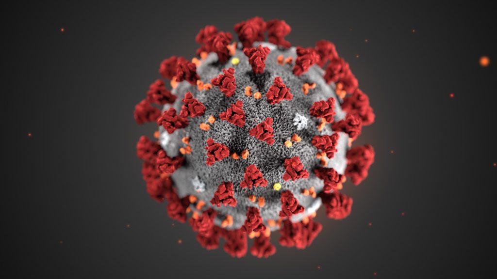 Coronavirus veneto